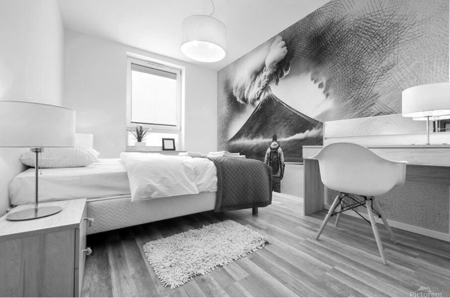 sdadrere898855 Mural print