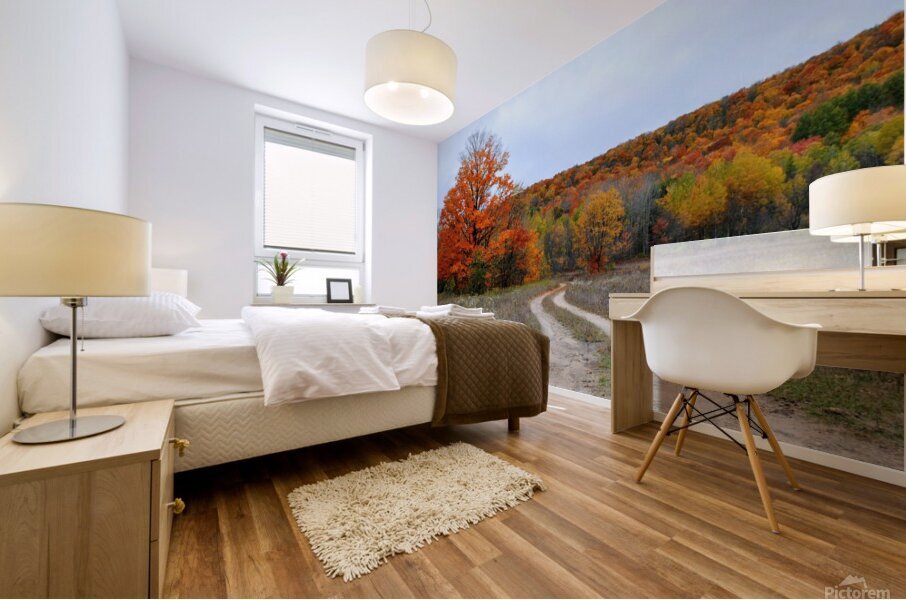 Autumn Road Mural print