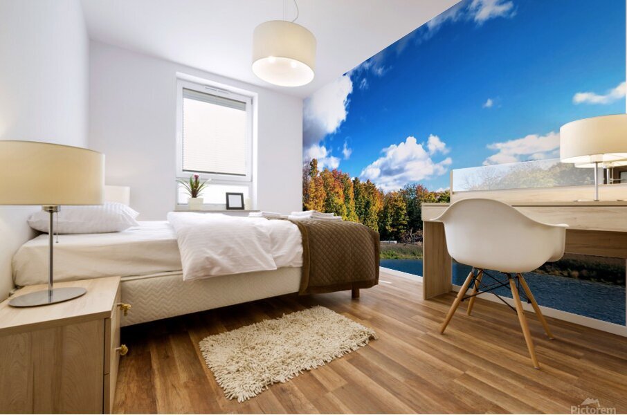 Fall Lake Mural print