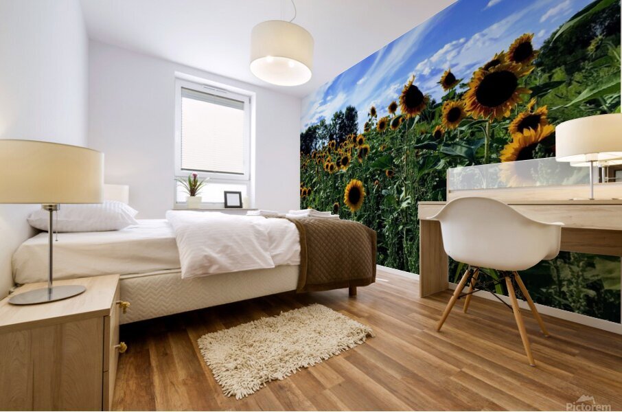 Sunflower Days Mural print