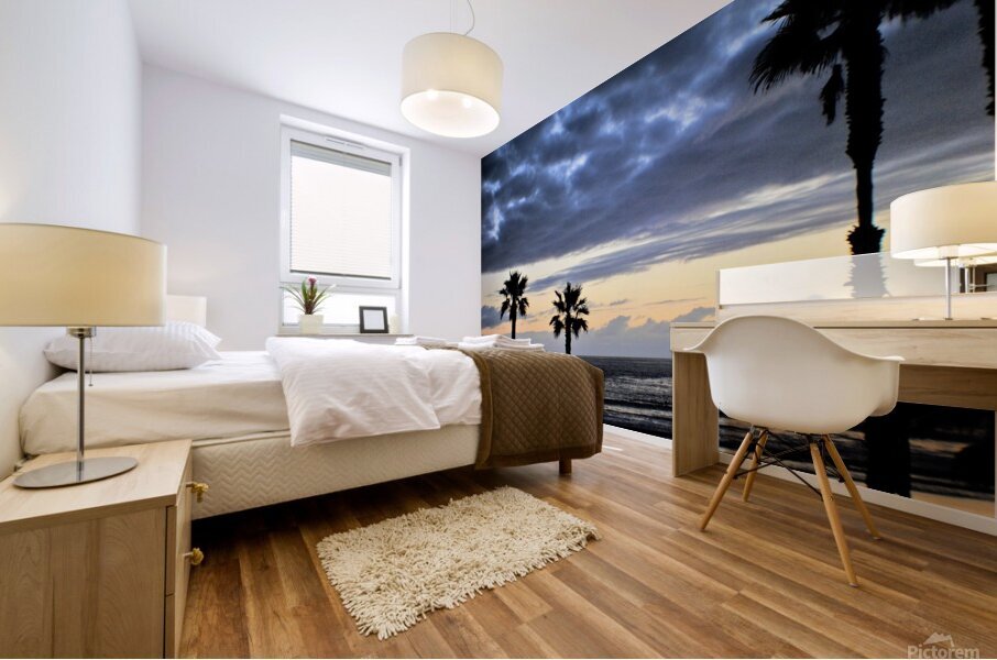 Oceanside Views Mural print