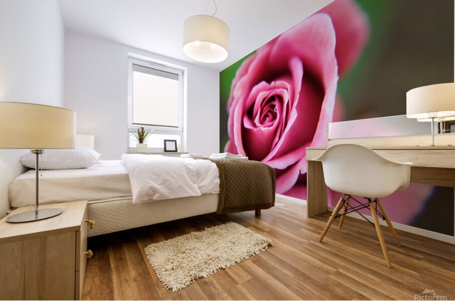 Pink Rose Mural print