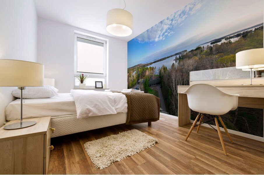 untitled 9 45 Mural print