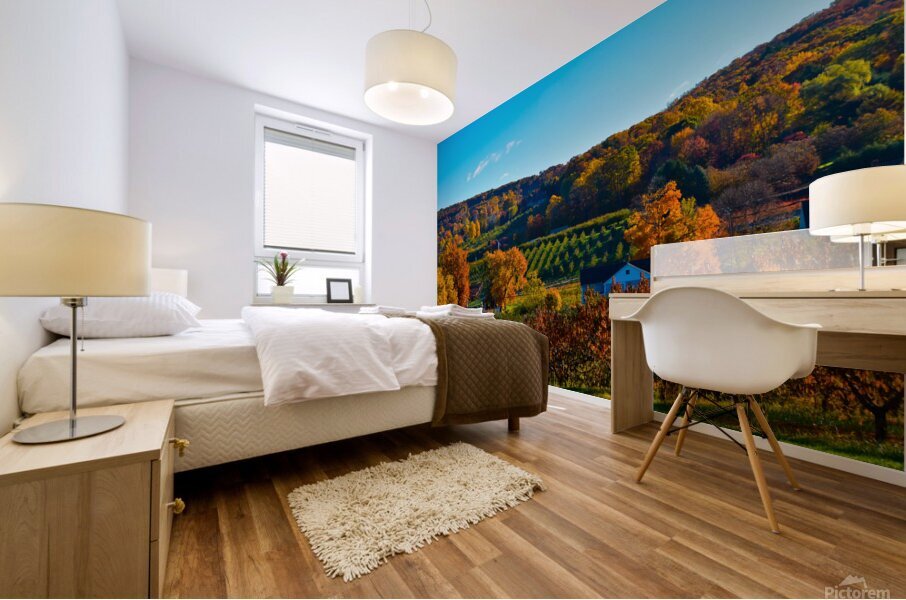 10 Belltown Orchards in Fall Mural print