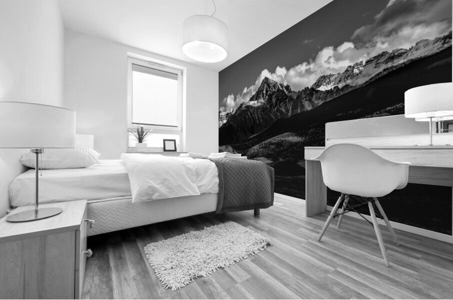 Dallas Divide Mount Sneffels Ranch Mural print