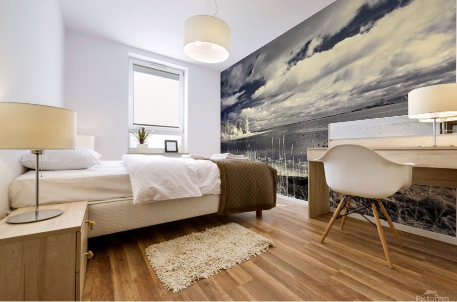 Clouds Over Comox Harbour Mural print