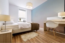 Sunset shining through the trees Mural print