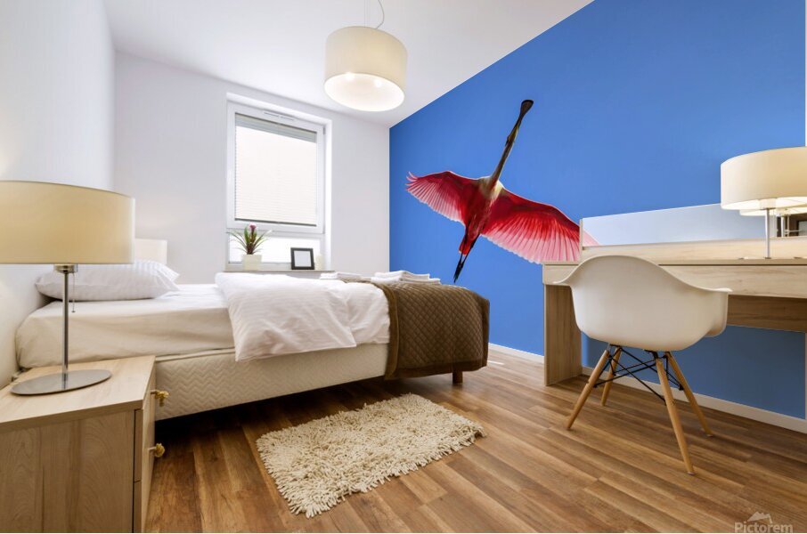 Spoonbille  12223 18 1 of 1 Mural print