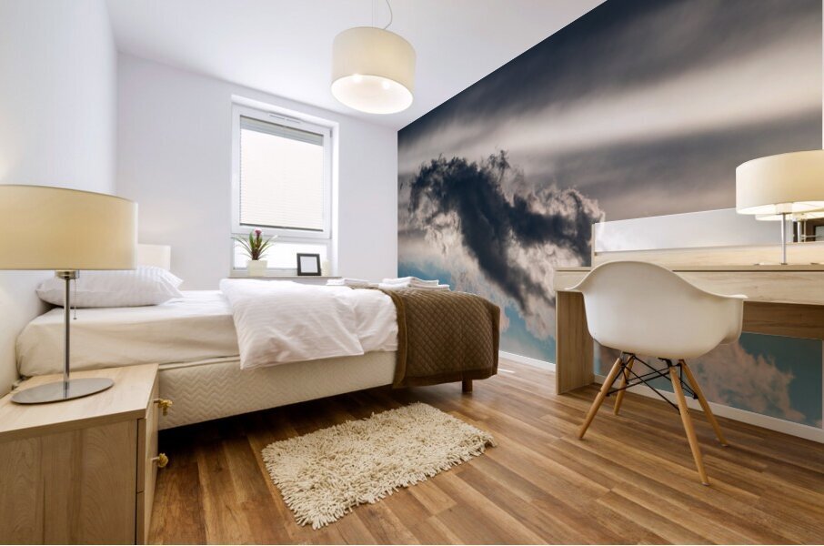 Drifting Dragon Mural print