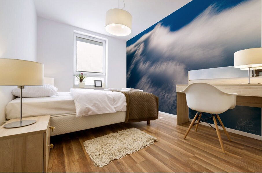 Ice Sheets Mural print