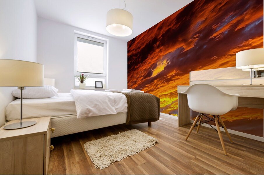 Jovian Mural print