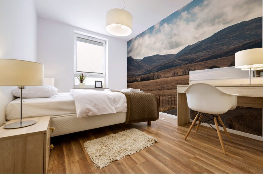 The Fallen Fence Post Mural print