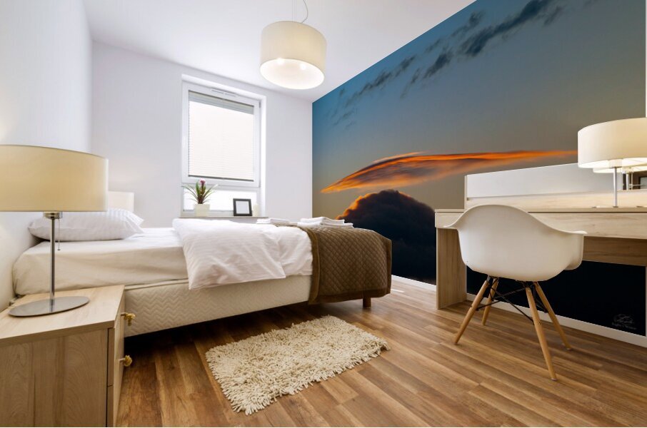 I Want to Believe Mural print