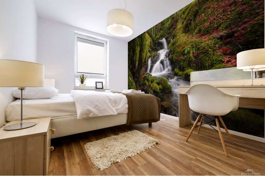 waterfall wonderlust  Mural print