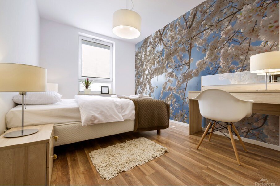 Cherry Blossoms Impression murale