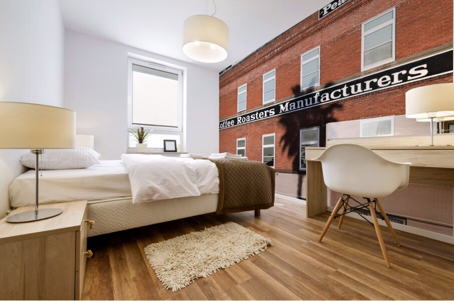 Shadow on a Wall 1 Mural print