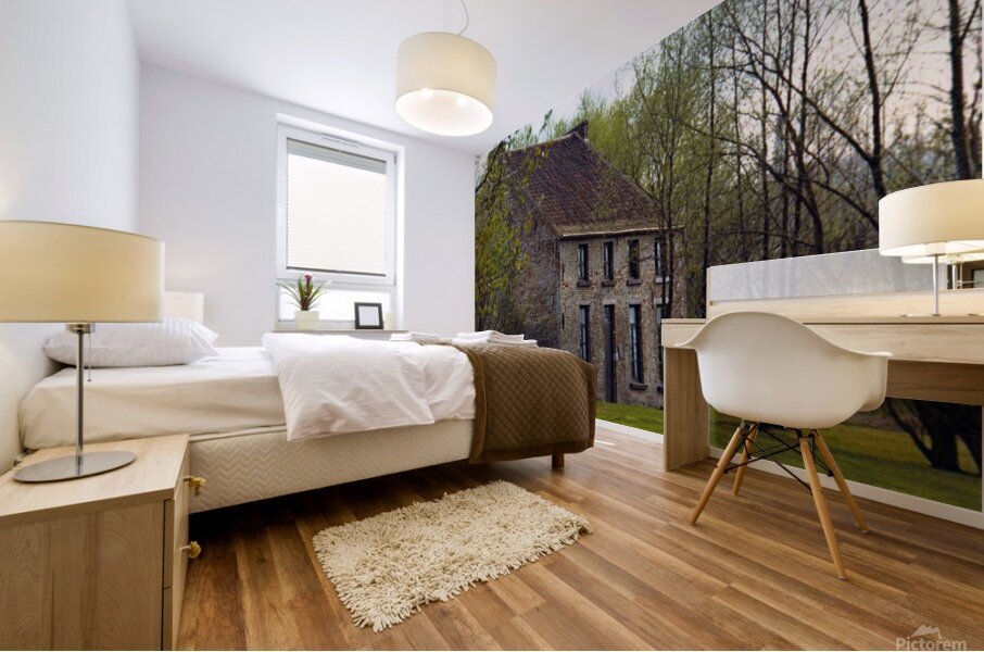 Cuesmes JPG001 Mural print