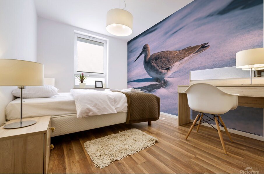 Willet - Gentle Waves Mural print