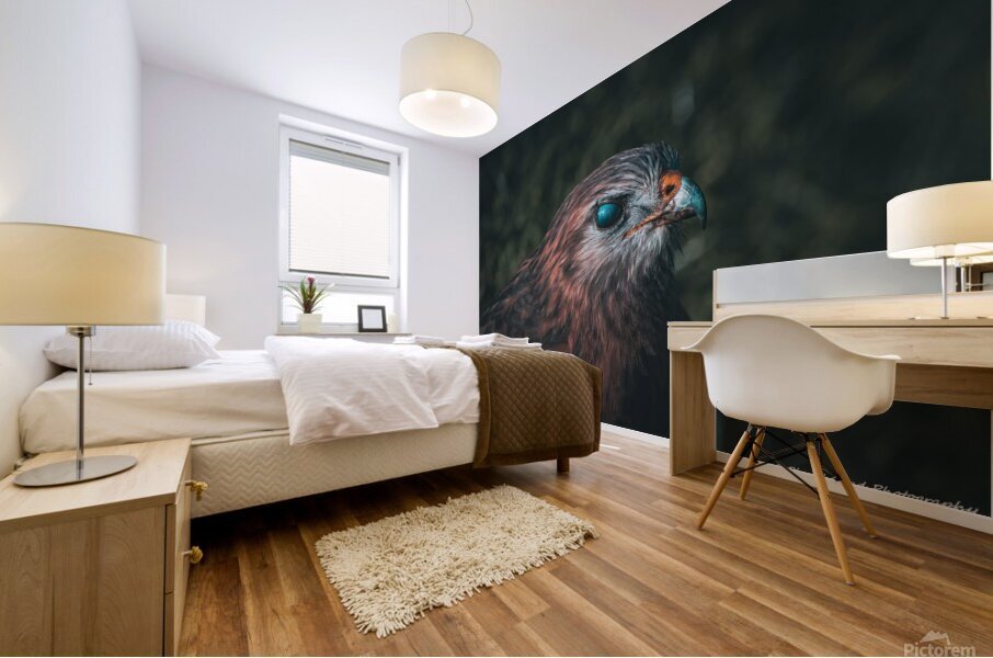 Eye of the Hawk Mural print