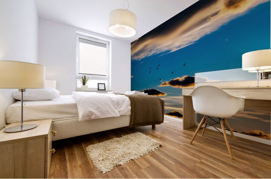 The Lightness of Freedom Mural print