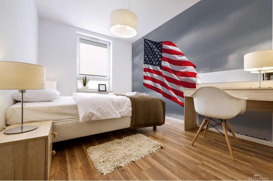 American Flag - Storms and Stripes Mural print