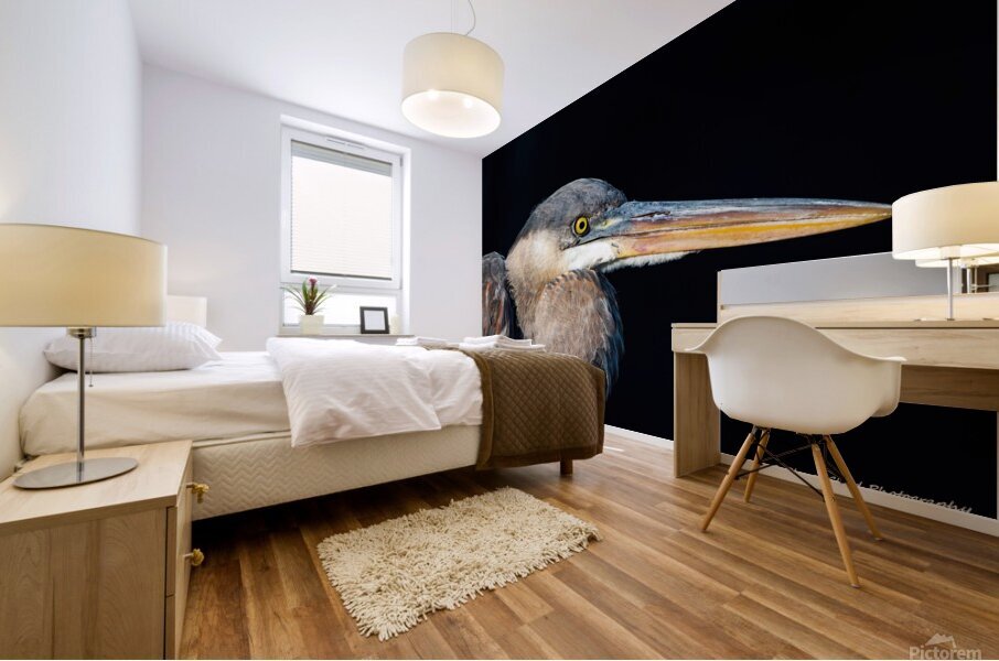 Great Blue Heron - Up Close Mural print