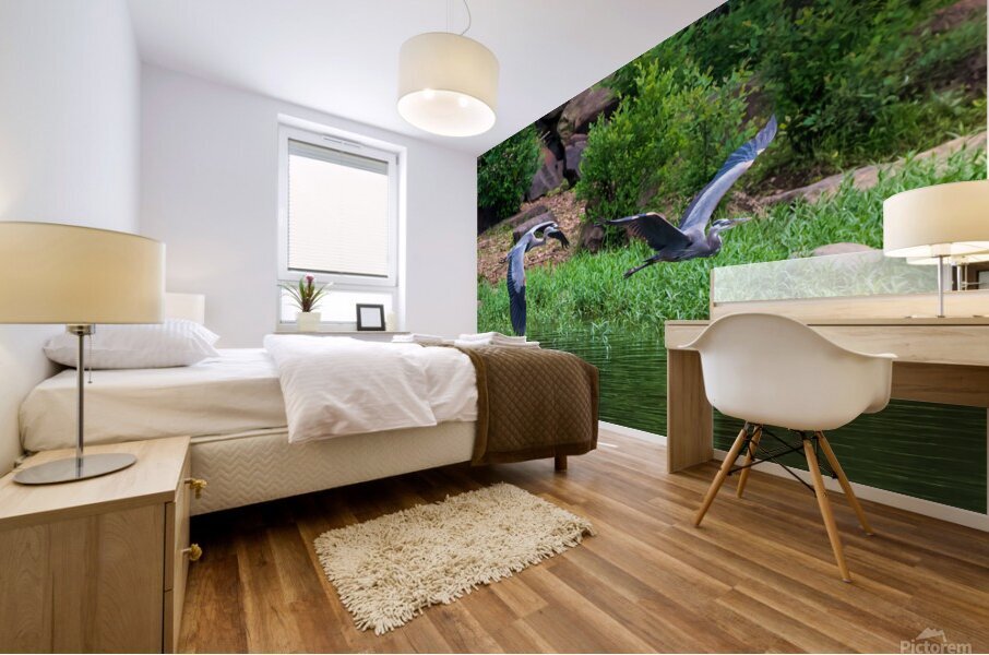 Great Blue Heron couple in flight Mural print