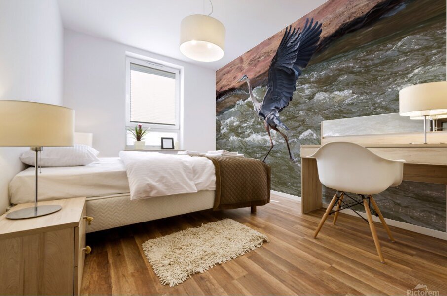 Great Blue Heron - Walking On Water Mural print