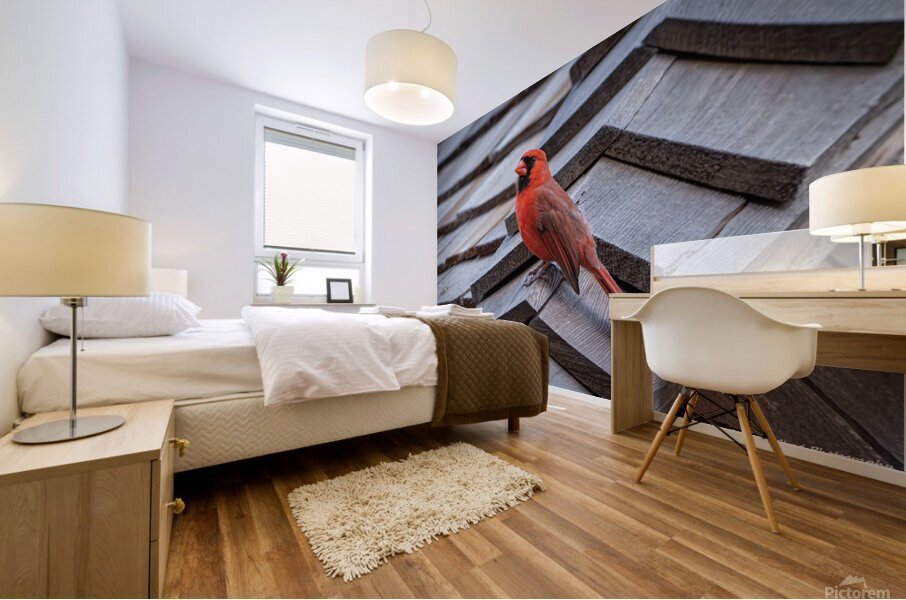 Northern Cardinal - Visit from Heaven Mural print