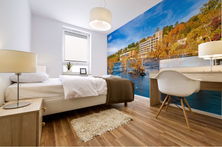 James River and Hollywood Cematery  Mural print