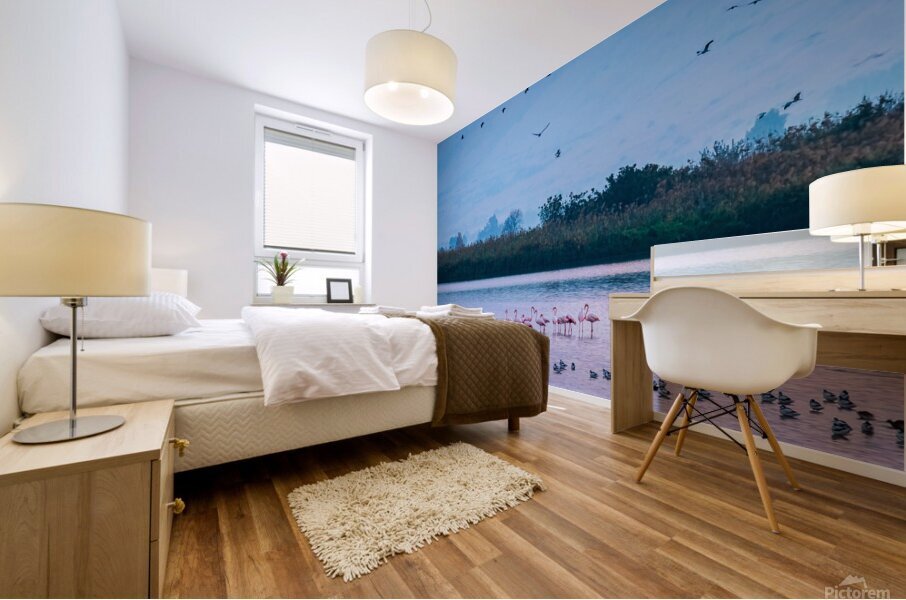 Flamingos in the Hula Valley Mural print