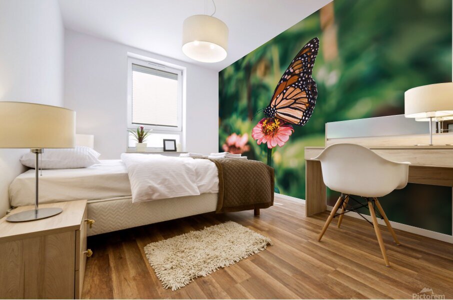 Monarch Butterly - Zinnia Love Mural print