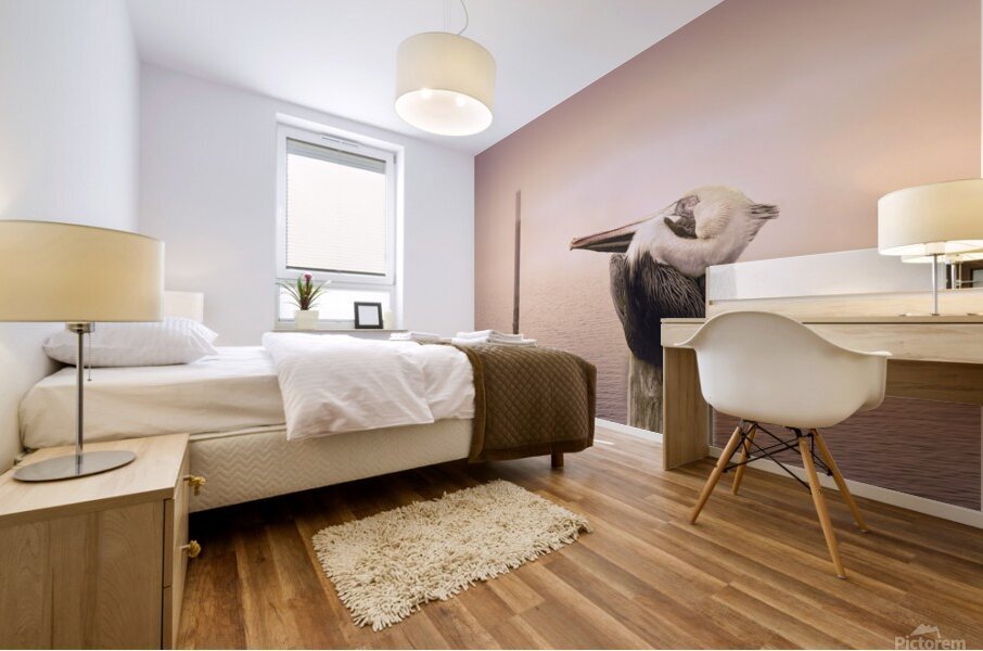 Pensacola Florida Pelican in Fog Mural print