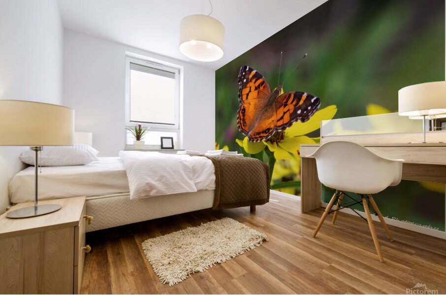  Painted Lady Butterfly - Full of Color Mural print