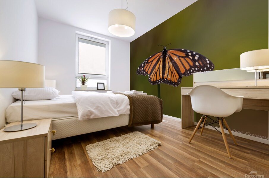 Monarch Butterfly Wing Spread Mural print
