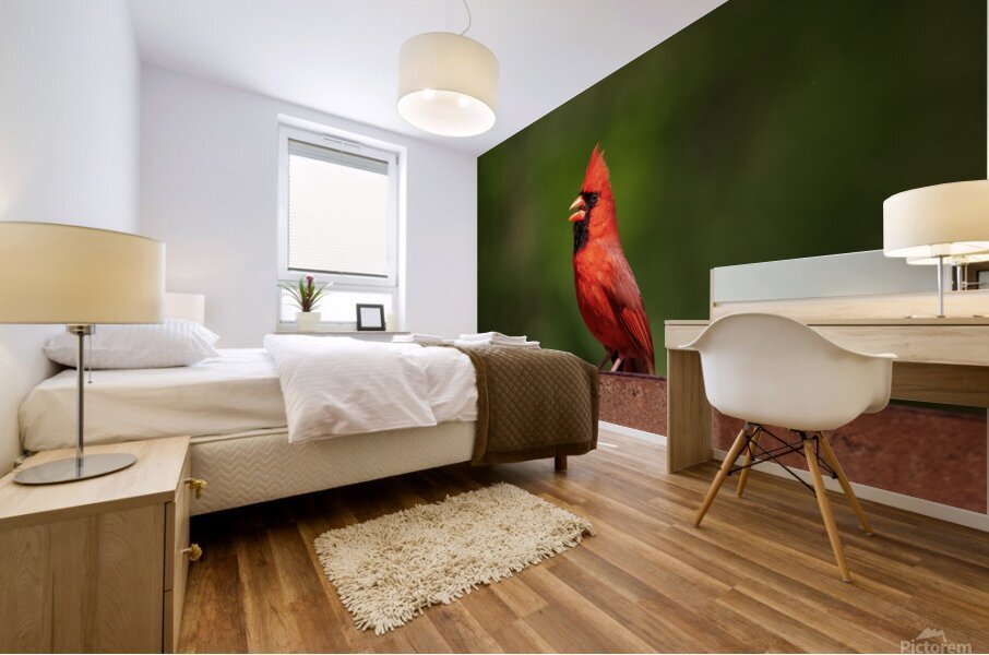 Singing Cardinal Mural print