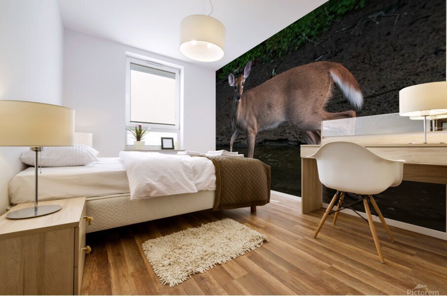 Playful Deer - Sticking Tongue Out Mural print