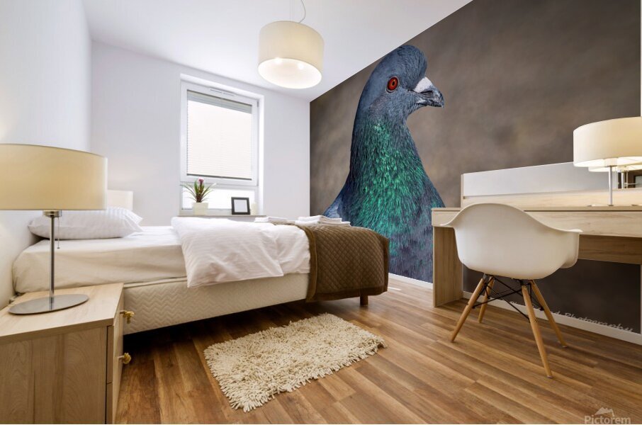 Rock Pigeon Portrait Mural print