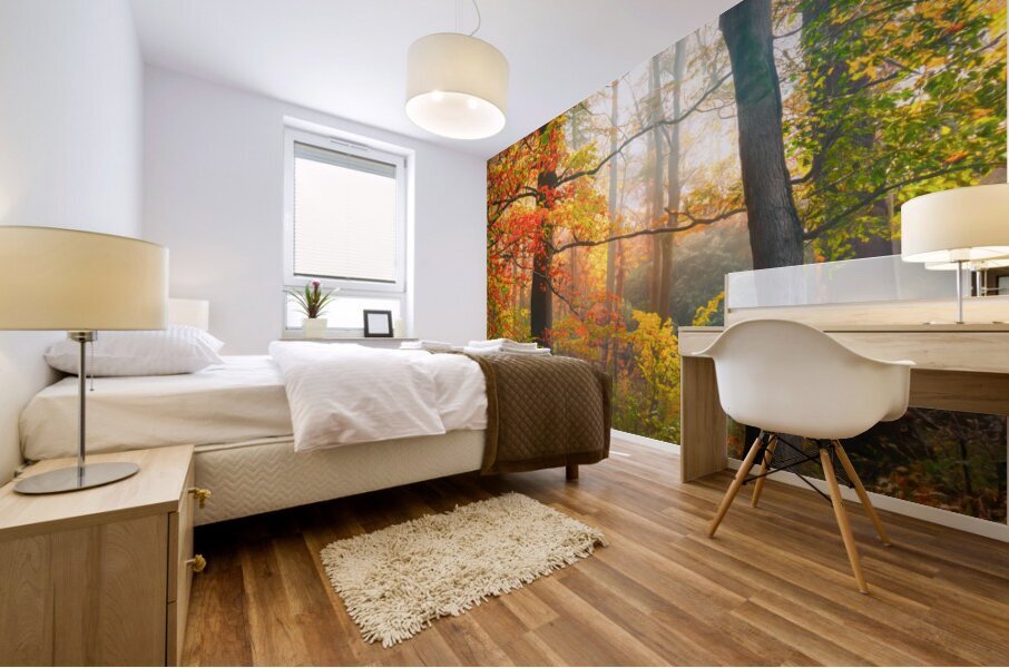 Misty Morning in the Forest Mural print