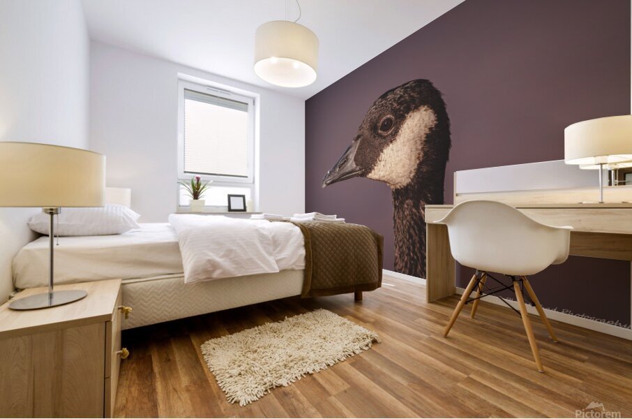 Portrait of a Canada Goose Mural print