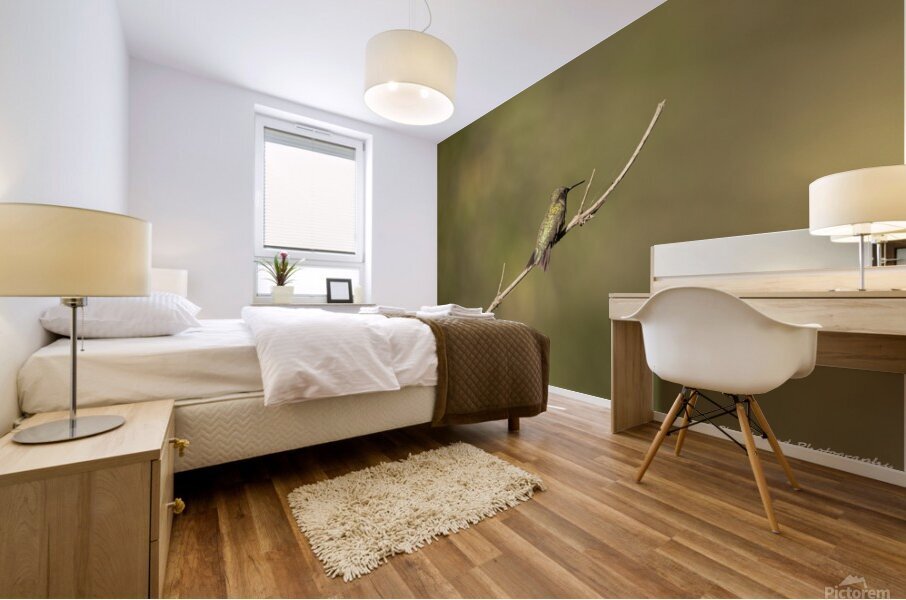 The Lonely Hummingbird Mural print