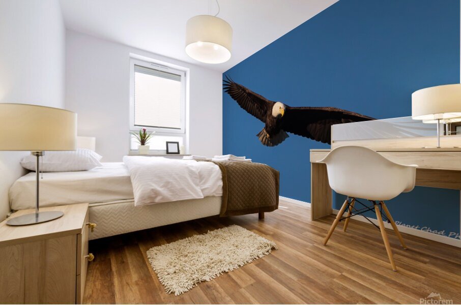 Bald Eagle - On The Hunt Mural print