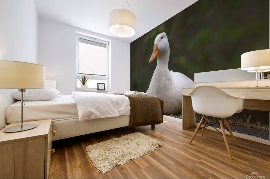 Peaceful Pekin Mural print