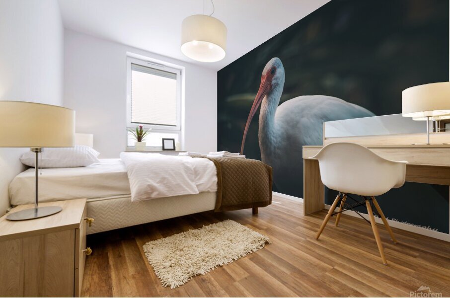  Portrait of a White Ibis Mural print