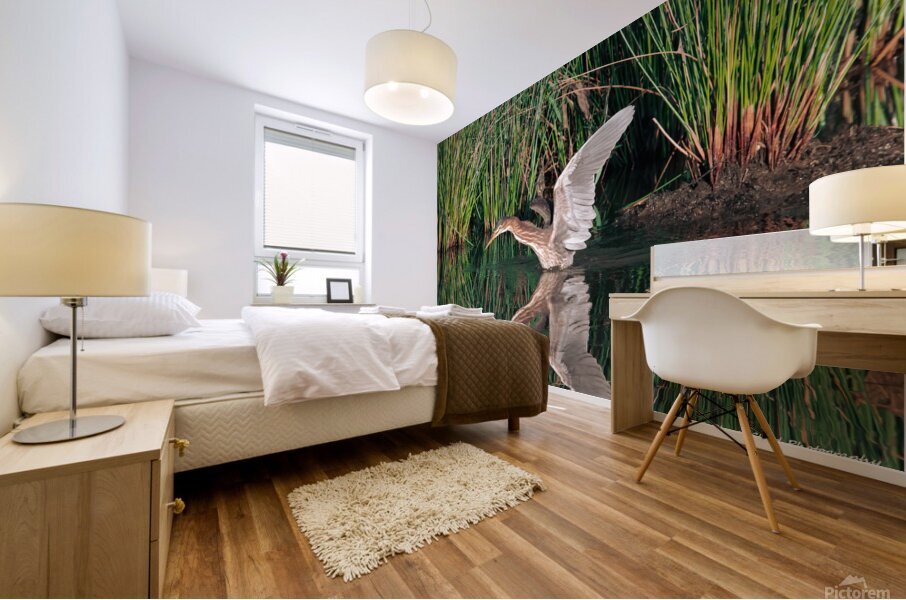 Green Heron - Angel Wings Mural print