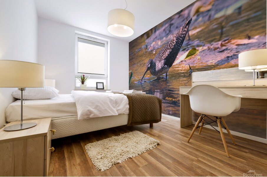 Solitary Sandpiper - Evening Sip Mural print