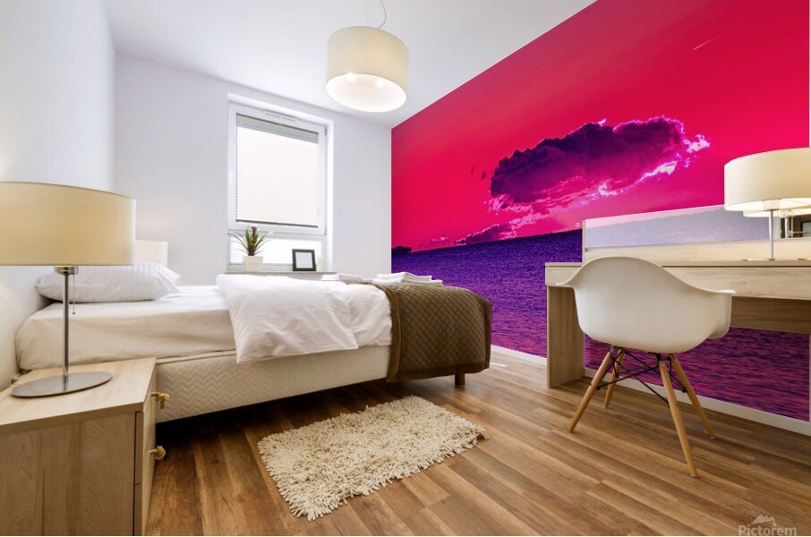 Goose Spit Sunrise Mural print