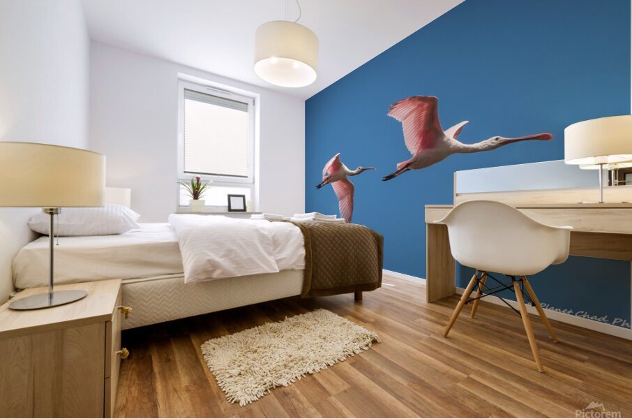 Roseate Spoonbills In Flight Mural print