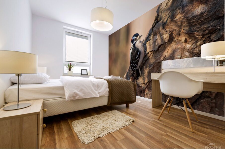 In The Morning Light Mural print