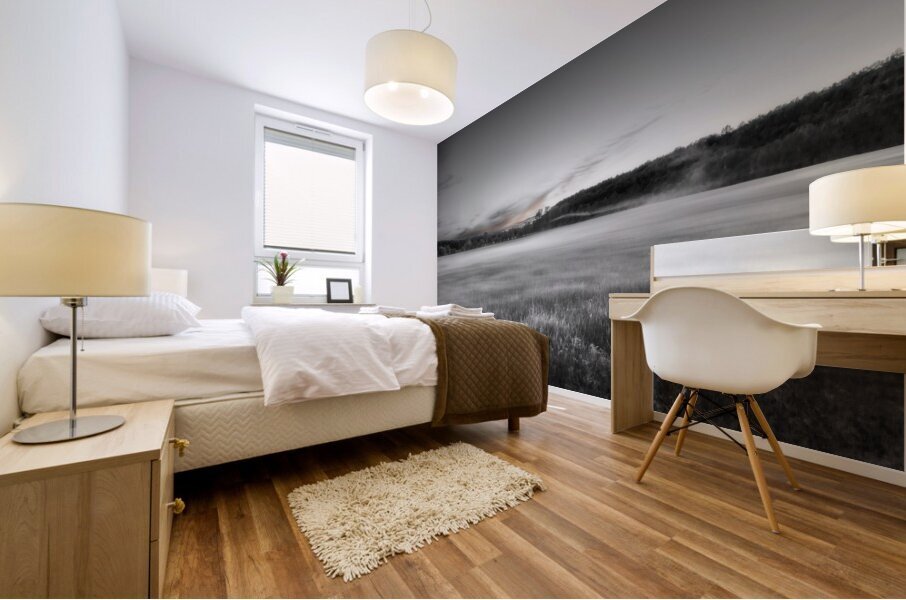 Avalon Impression murale